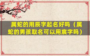 属蛇的用辰字起名好吗（属蛇的男孩取名可以用宸字吗）