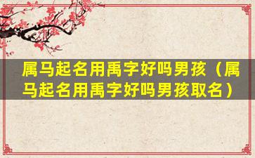 属马起名用禹字好吗男孩（属马起名用禹字好吗男孩取名）