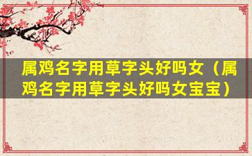 属鸡名字用草字头好吗女（属鸡名字用草字头好吗女宝宝）