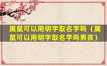属鼠可以用明字取名字吗（属鼠可以用明字取名字吗男孩）