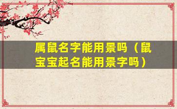 属鼠名字能用景吗（鼠宝宝起名能用景字吗）