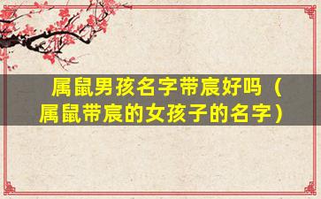 属鼠男孩名字带宸好吗（属鼠带宸的女孩子的名字）