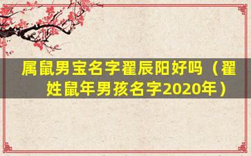 属鼠男宝名字翟辰阳好吗（翟姓鼠年男孩名字2020年）