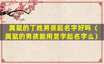属鼠的丁姓男孩起名字好吗（属鼠的男孩能用昱字起名字么）