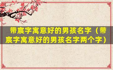 带宸字寓意好的男孩名字（带宸字寓意好的男孩名字两个字）