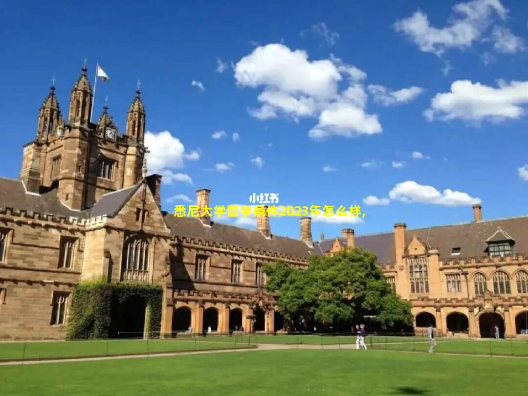 悉尼大学留学条件2023年怎么样,