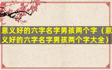 意义好的六字名字男孩两个字（意义好的六字名字男孩两个字大全）