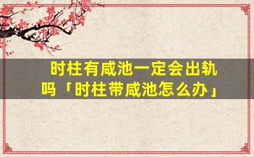 时柱有咸池一定会出轨吗「时柱带咸池怎么办」