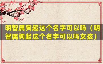 明智属狗起这个名字可以吗（明智属狗起这个名字可以吗女孩）