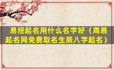 易经起名用什么名字好（周易起名网免费取名生辰八字起名）