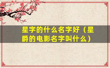 星字的什么名字好（星爵的电影名字叫什么）