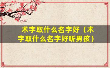 术字取什么名字好（术字取什么名字好听男孩）