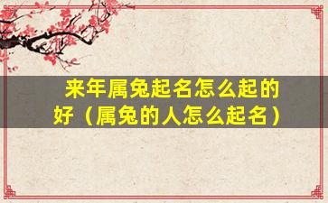 来年属兔起名怎么起的好（属兔的人怎么起名）