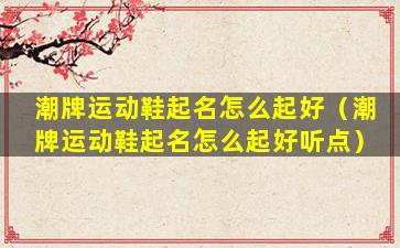 潮牌运动鞋起名怎么起好（潮牌运动鞋起名怎么起好听点）