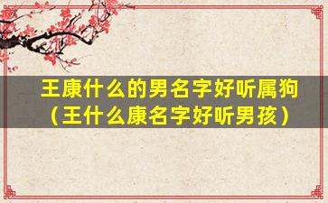 王康什么的男名字好听属狗（王什么康名字好听男孩）