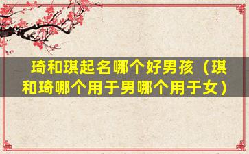 琦和琪起名哪个好男孩（琪和琦哪个用于男哪个用于女）