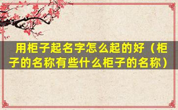 用柜子起名字怎么起的好（柜子的名称有些什么柜子的名称）