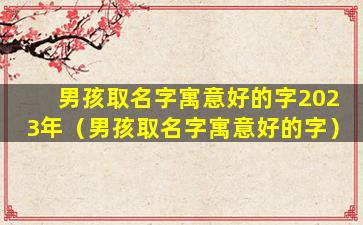 男孩取名字寓意好的字2023年（男孩取名字寓意好的字）