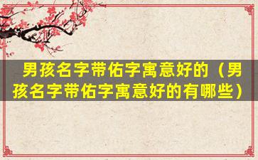 男孩名字带佑字寓意好的（男孩名字带佑字寓意好的有哪些）