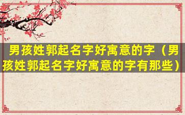 男孩姓郭起名字好寓意的字（男孩姓郭起名字好寓意的字有那些）
