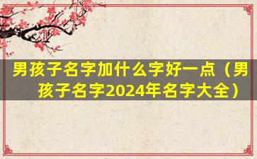 男孩子名字加什么字好一点（男孩子名字2024年名字大全）