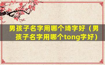 男孩子名字用哪个琦字好（男孩子名字用哪个tong字好）