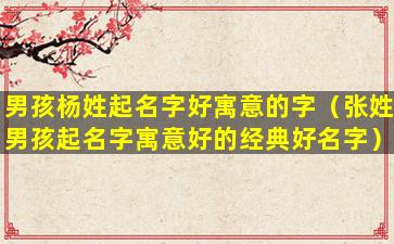 男孩杨姓起名字好寓意的字（张姓男孩起名字寓意好的经典好名字）