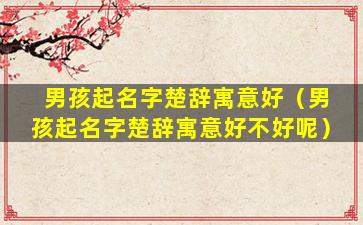 男孩起名字楚辞寓意好（男孩起名字楚辞寓意好不好呢）
