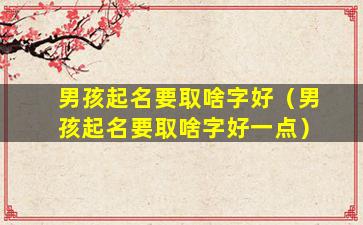 男孩起名要取啥字好（男孩起名要取啥字好一点）