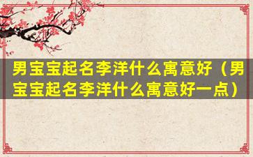 男宝宝起名李洋什么寓意好（男宝宝起名李洋什么寓意好一点）
