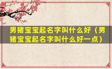 男猪宝宝起名字叫什么好（男猪宝宝起名字叫什么好一点）