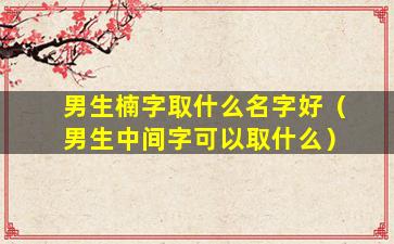 男生楠字取什么名字好（男生中间字可以取什么）