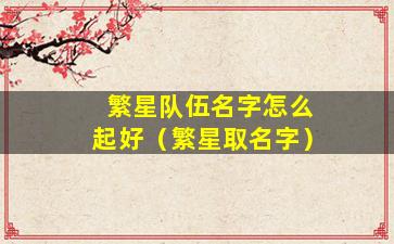 繁星队伍名字怎么起好（繁星取名字）
