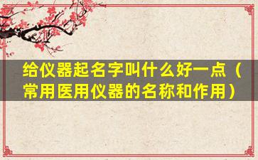 给仪器起名字叫什么好一点（常用医用仪器的名称和作用）