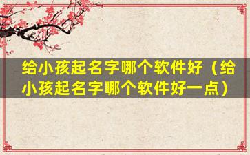 给小孩起名字哪个软件好（给小孩起名字哪个软件好一点）