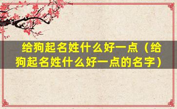 给狗起名姓什么好一点（给狗起名姓什么好一点的名字）