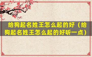 给狗起名姓王怎么起的好（给狗起名姓王怎么起的好听一点）