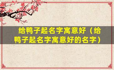 给鸭子起名字寓意好（给鸭子起名字寓意好的名字）