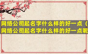 网络公司起名字什么样的好一点（网络公司起名字什么样的好一点呢）