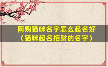 网购猫咪名字怎么起名好（猫咪起名招财的名字）