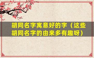 胡同名字寓意好的字（这些胡同名字的由来多有趣呀）
