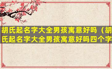 胡氏起名字大全男孩寓意好吗（胡氏起名字大全男孩寓意好吗四个字）