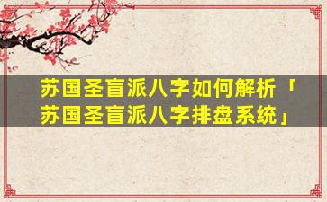 苏国圣盲派八字如何解析「苏国圣盲派八字排盘系统」