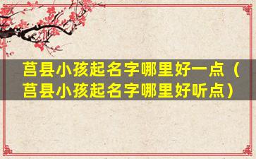 莒县小孩起名字哪里好一点（莒县小孩起名字哪里好听点）