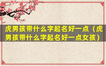 虎男孩带什么字起名好一点（虎男孩带什么字起名好一点女孩）