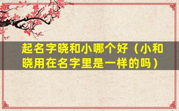 起名字晓和小哪个好（小和晓用在名字里是一样的吗）