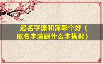 起名字潇和莯哪个好（取名字潇跟什么字搭配）