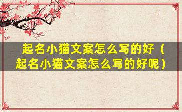 起名小猫文案怎么写的好（起名小猫文案怎么写的好呢）