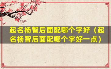 起名杨智后面配哪个字好（起名杨智后面配哪个字好一点）