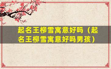 起名王柳雪寓意好吗（起名王柳雪寓意好吗男孩）